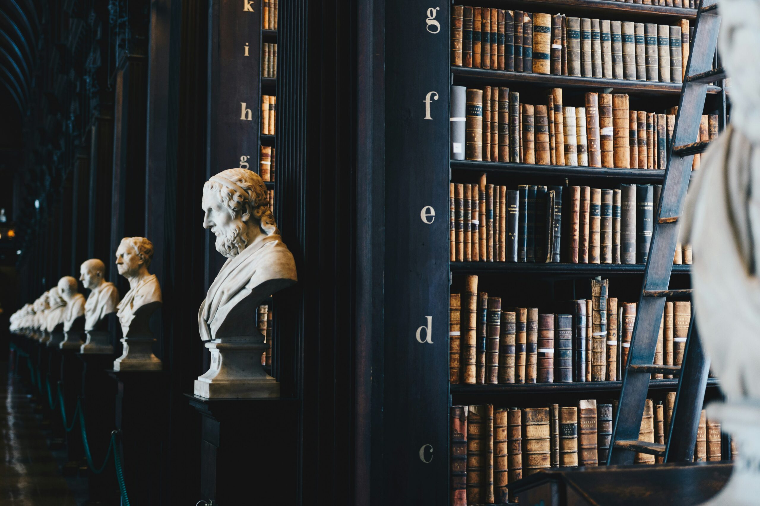 header image